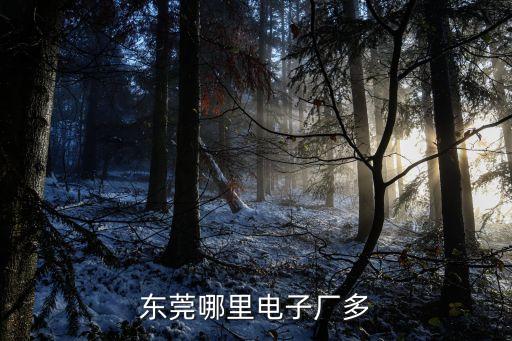 東莞哪里電子廠多
