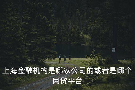 上海金融機構是哪家公司的或者是哪個網貸平臺