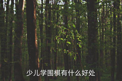 少兒學圍棋有什么好處