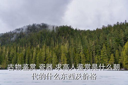 古物鑒賞 瓷器 求高人鑒賞是什么朝代的什么東西及價格