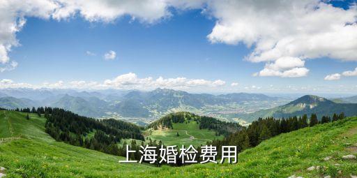 上?；闄z費用
