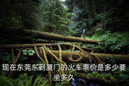 現在東莞東到廈門的火車票價是多少要坐多久