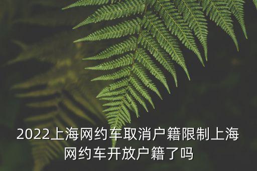 上海市網約證對外地人開放日期，上海網約車外地人可以開嗎