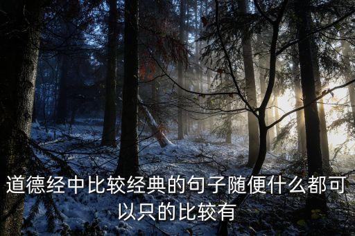 道德經中比較經典的句子隨便什么都可以只的比較有