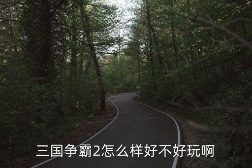 三國爭霸2怎么樣好不好玩啊