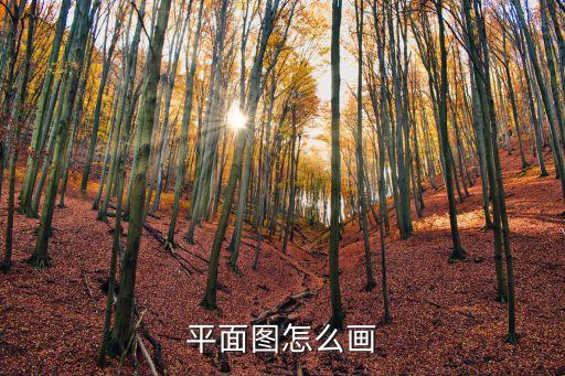 平面圖怎么畫，怎樣繪制平面圖