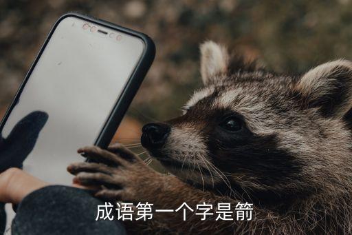 成語第一個字是箭