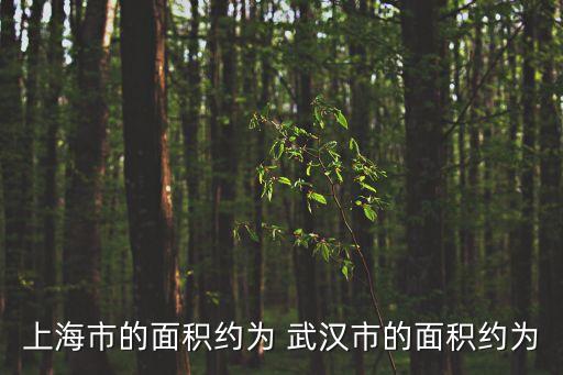 湖北省面積大還是上海市面積大，上海市的面積約為 武漢市的面積約為
