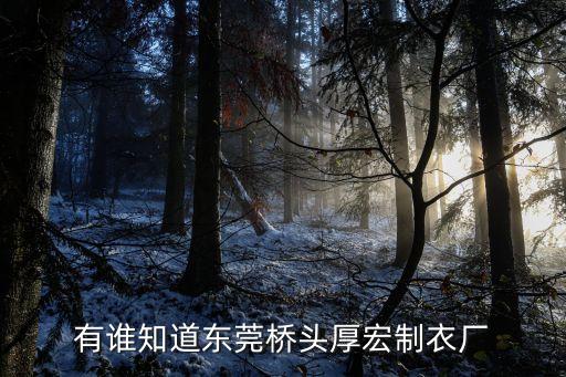 有誰知道東莞橋頭厚宏制衣廠