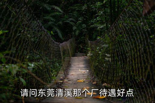 請問東莞清溪那個廠待遇好點(diǎn)