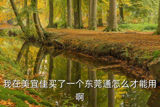 我在美宜佳買了一個東莞通怎么才能用啊