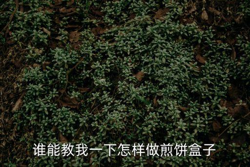 誰能教我一下怎樣做煎餅盒子