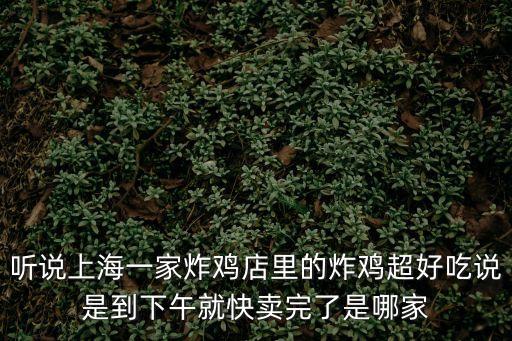 聽說上海一家炸雞店里的炸雞超好吃說是到下午就快賣完了是哪家
