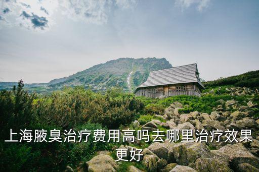 上海腋臭治療費用高嗎去哪里治療效果更好