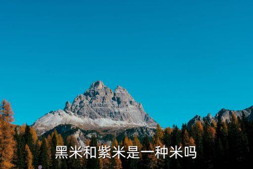 黑米是紫米嗎，黑米和紫米是一種東西嗎