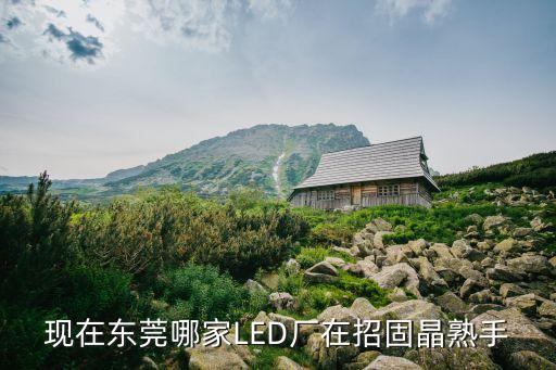 現在東莞哪家LED廠在招固晶熟手