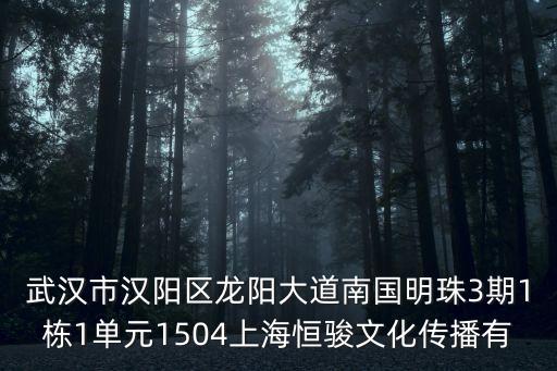 武漢市漢陽區龍陽大道南國明珠3期1棟1單元1504上海恒駿文化傳播有