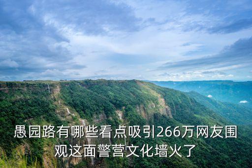 愚園路有哪些看點吸引266萬網友圍觀這面警營文化墻火了