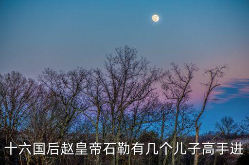 冉良，十六國后趙皇帝石勒有幾個兒子高手進