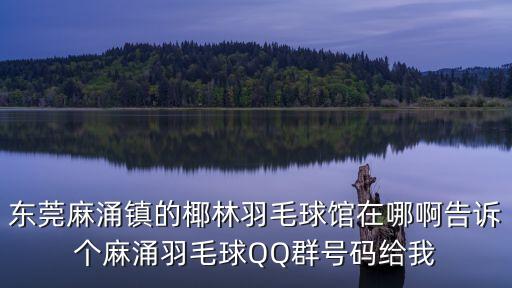 東莞麻涌椰林足沐怎樣，我想問下東莞莞城都麻涌系走東部快速最快的如果這條路比水圳了