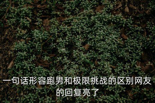 一句話形容跑男和極限挑戰(zhàn)的區(qū)別網(wǎng)友的回復(fù)亮了