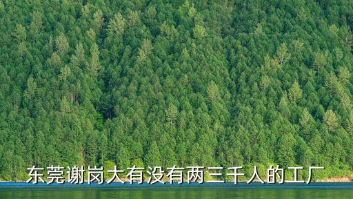 東莞謝崗大有沒有兩三千人的工廠