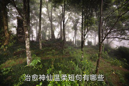 溫柔短句，有哪些溫柔干凈的文案短句
