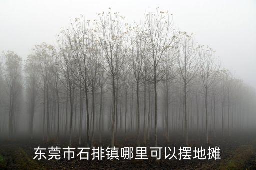 東莞市石排鎮哪里可以擺地攤