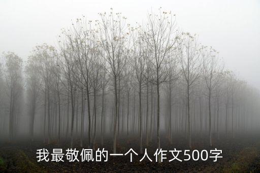 我最敬佩的一個人作文500字