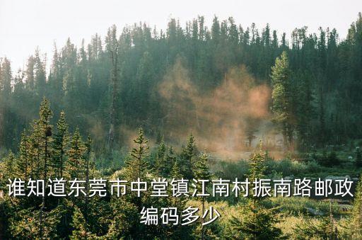 東莞中堂鎮江南村圖片，東莞中堂鎮江南村治安好嗎