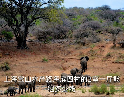 上海寶山水產路海濱四村的2室一廳能租多少錢