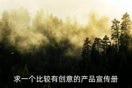 求一個比較有創意的產品宣傳冊
