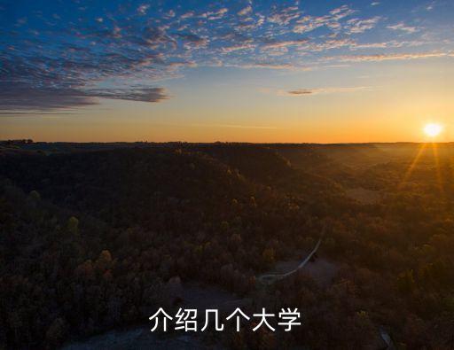 介紹幾個大學