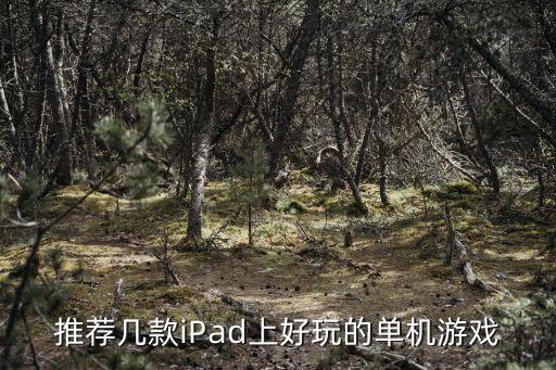 推薦幾款iPad上好玩的單機游戲