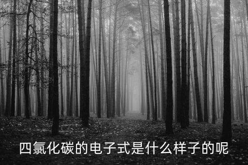 四氯化碳的電子式是什么樣子的呢