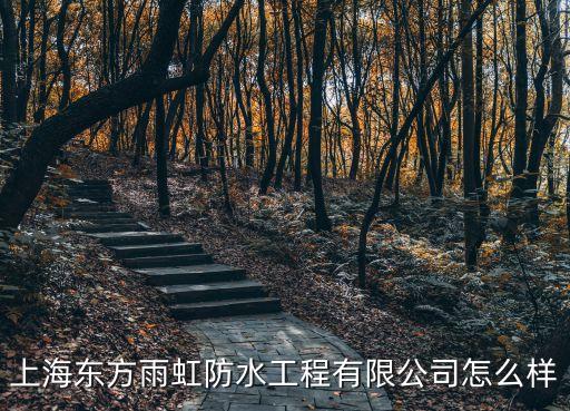 上海東方雨虹防水工程有限公司怎么樣