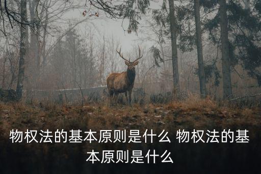 物權(quán)法的基本原則，物權(quán)法的基本原則是什么 物權(quán)法的基本原則是什么