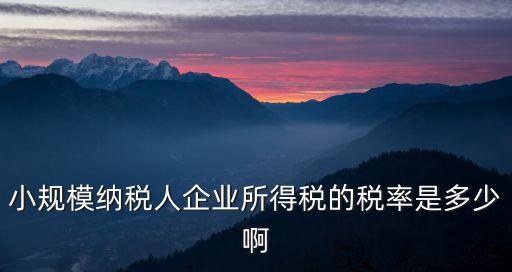 小規模納稅人企業所得稅稅率，小規模納稅人企業所得稅稅率是多少