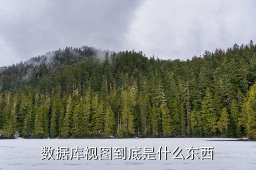 數據庫視圖，mysql數據庫視圖是什么