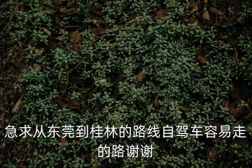 急求從東莞到桂林的路線自駕車容易走的路謝謝