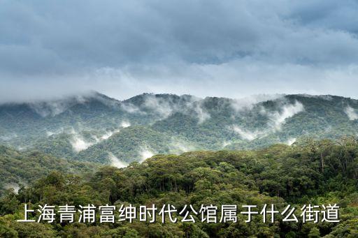 上海市上海阿婆青浦富紳店，上海青浦奧特萊斯里都有ZARA買嗎上海所有的ZARA店地址是什么