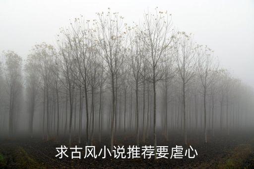 虐心古言小說推薦，求古風小說推薦要虐心