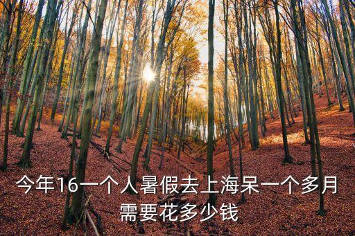 上海市暑期大概費用，上海迪士尼暑假期間要多少元