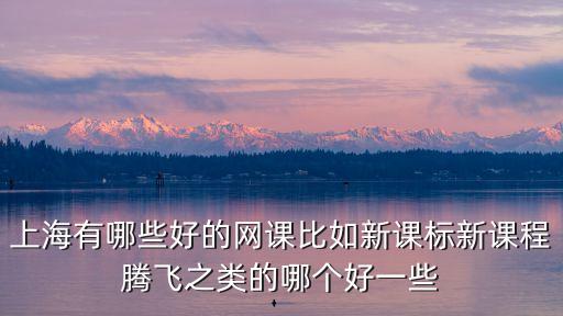 上海有哪些好的網課比如新課標新課程騰飛之類的哪個好一些