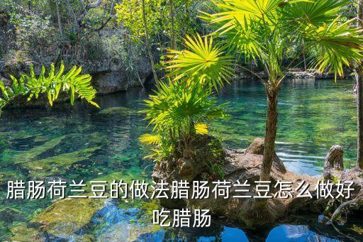 臘腸荷蘭豆的做法臘腸荷蘭豆怎么做好吃臘腸