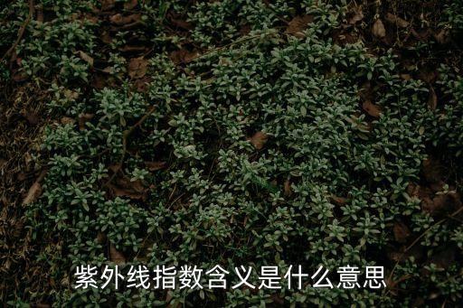 紫外線指數，SPF值是指什么啊