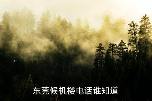 東莞青春痘口岸電話，有人知道東莞市虎門鎮(zhèn)海關(guān)電話號碼嗎謝謝