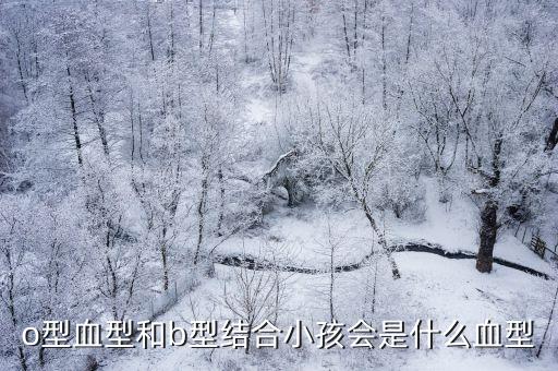 o型血型和b型結(jié)合小孩會是什么血型