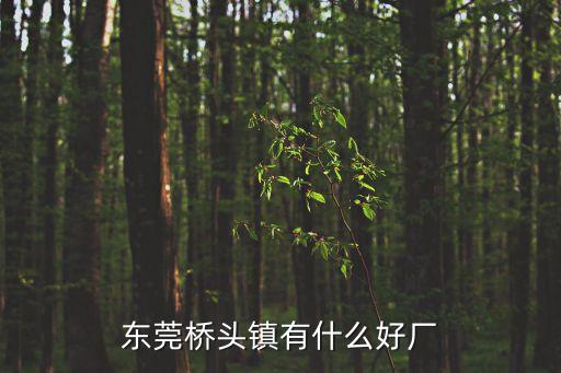 東莞橋頭鎮(zhèn)卡萊電子廠，橋頭電子廠有這樣的廠名嗎