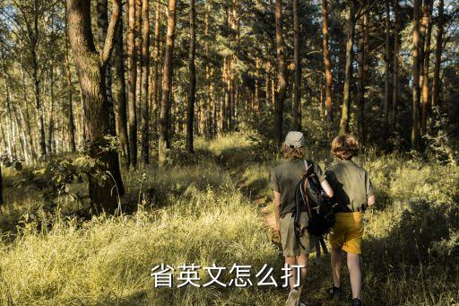 省英文怎么打